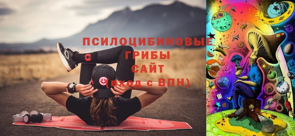 МДПВ Дмитровск