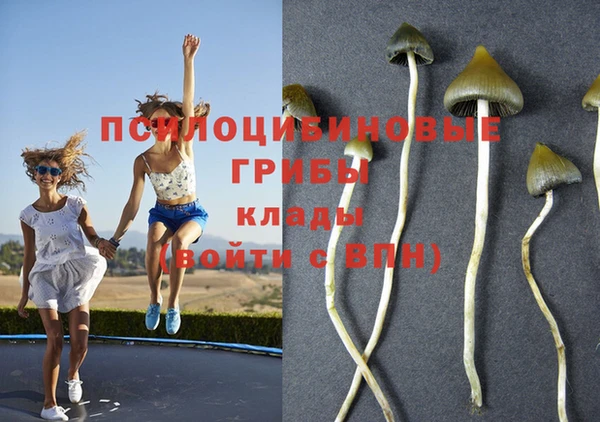 альфа пвп VHQ Дмитриев